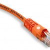 derby-reynolds_cable