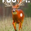 The Official Derby | Reynolds Deer {Monster Buck}